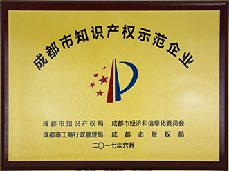 成都市知识产权示范企业